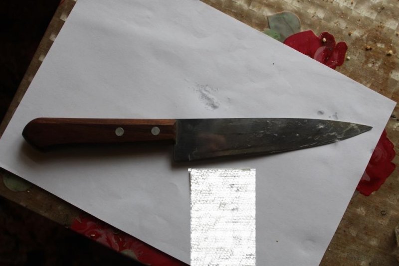 В Ичалковском районе местный житель признан виновным в причинении ножевого ранения приятелю